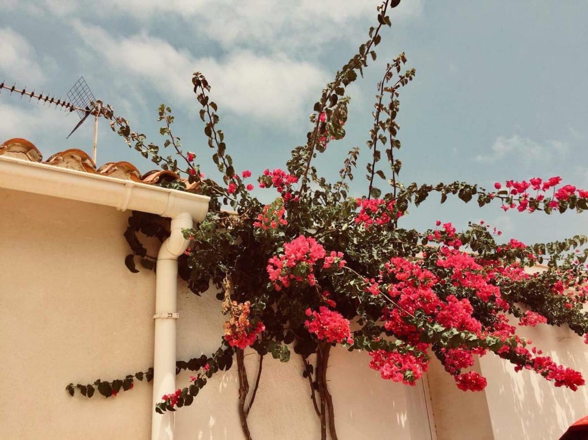 Lovely Apartment Old Town Denia Ngoại thất bức ảnh
